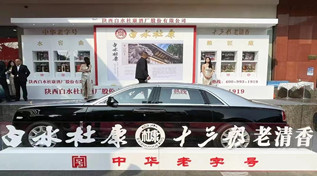 高规格亮相全国糖酒会，白水杜康高质量发展势能持续释放