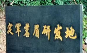 勉县举行“定军茗眉研发地”立碑仪式